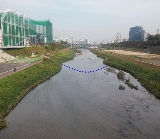 구로구 안양천에 징검다리를 놓는다. 구로구(구청장 이성)는 "구로동과 고척동을 가르는 안양천에 주민들의 보행 동선을 단축하고, 여가 공간을 확보하기 위해 '안양천 징검다리 조성사업'을 추진한다"고 7일 밝혔다.  구로구 제공